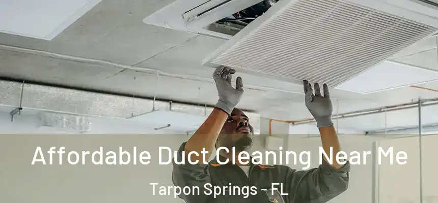 Affordable Duct Cleaning Near Me Tarpon Springs - FL