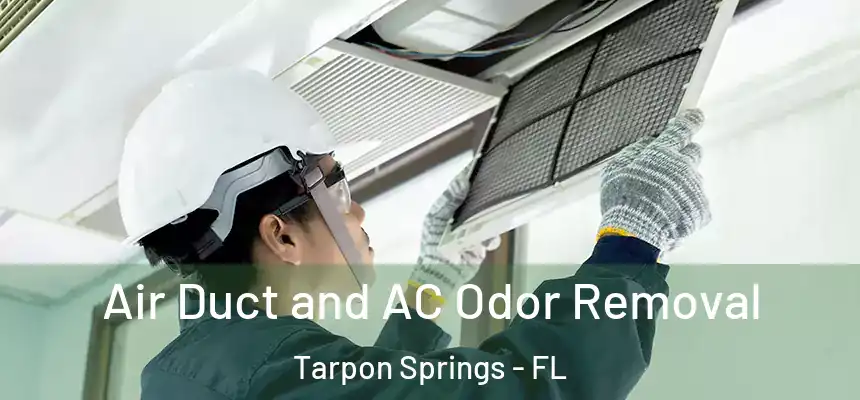 Air Duct and AC Odor Removal Tarpon Springs - FL