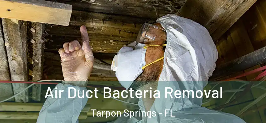 Air Duct Bacteria Removal Tarpon Springs - FL
