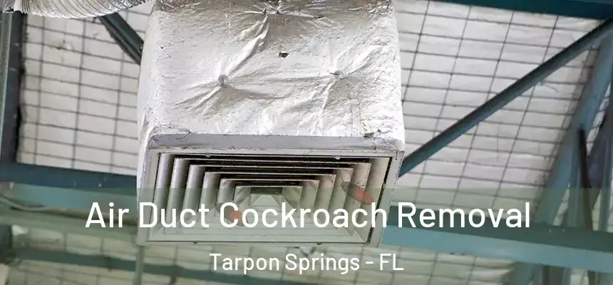 Air Duct Cockroach Removal Tarpon Springs - FL