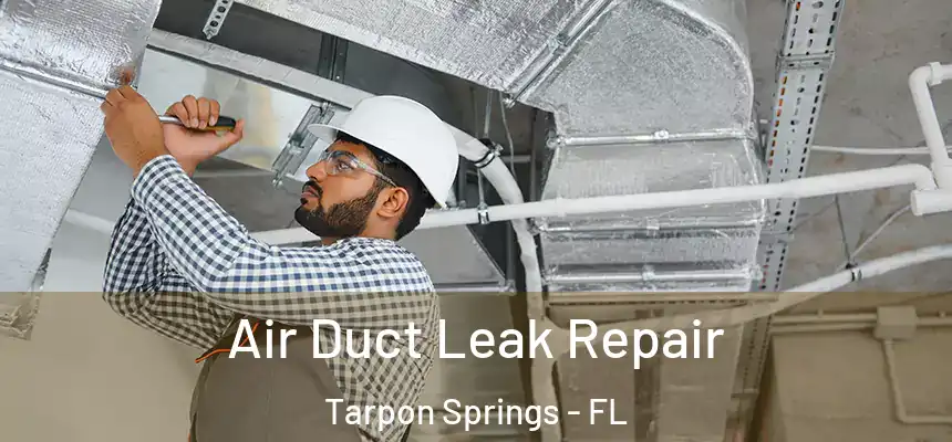 Air Duct Leak Repair Tarpon Springs - FL