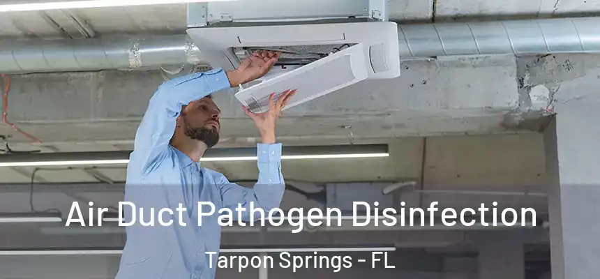 Air Duct Pathogen Disinfection Tarpon Springs - FL