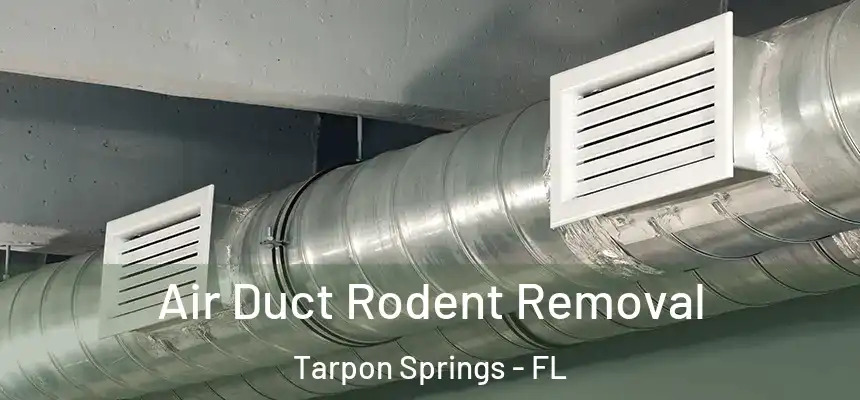 Air Duct Rodent Removal Tarpon Springs - FL