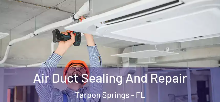 Air Duct Sealing And Repair Tarpon Springs - FL