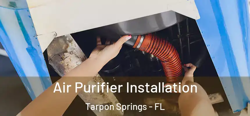 Air Purifier Installation Tarpon Springs - FL