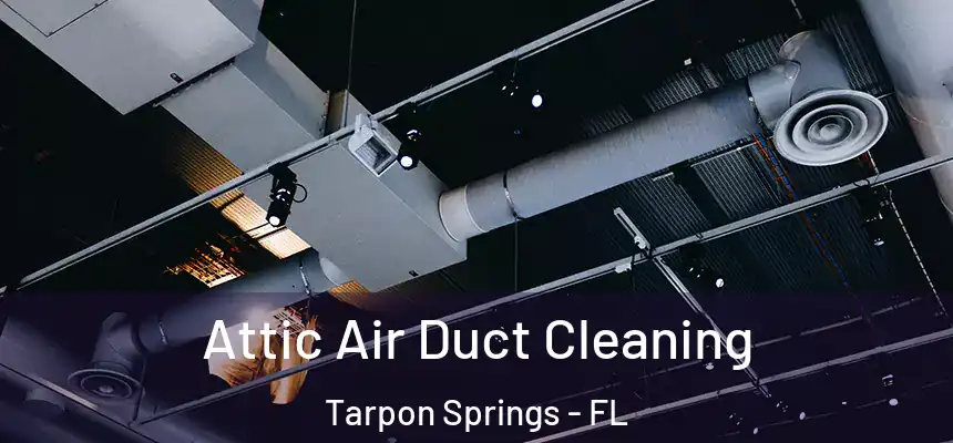 Attic Air Duct Cleaning Tarpon Springs - FL