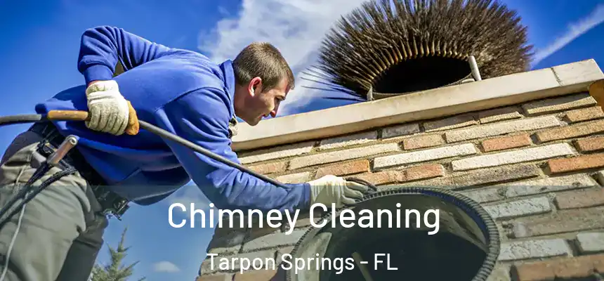 Chimney Cleaning Tarpon Springs - FL