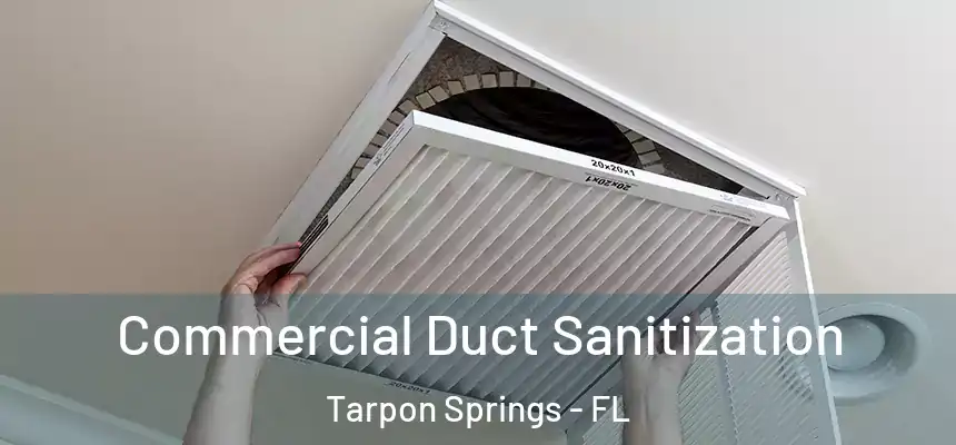  Commercial Duct Sanitization Tarpon Springs - FL