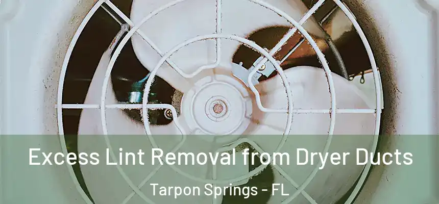 Excess Lint Removal from Dryer Ducts Tarpon Springs - FL