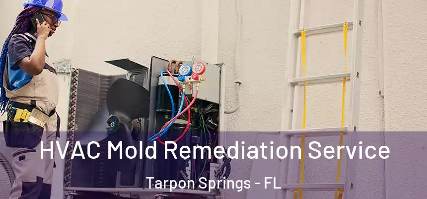 HVAC Mold Remediation Service Tarpon Springs - FL