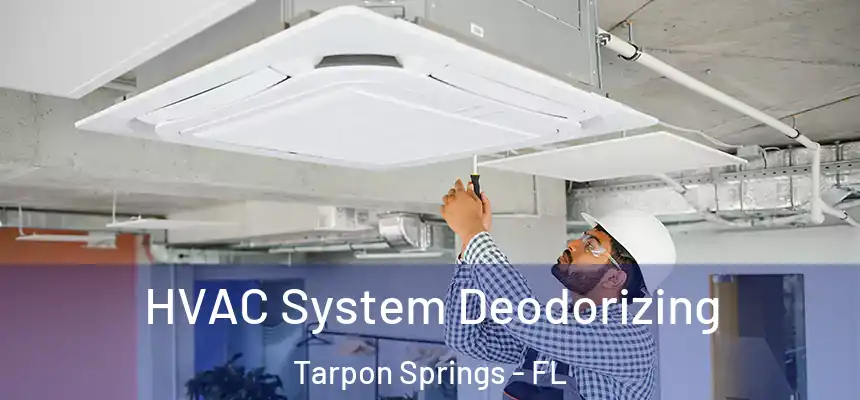 HVAC System Deodorizing Tarpon Springs - FL