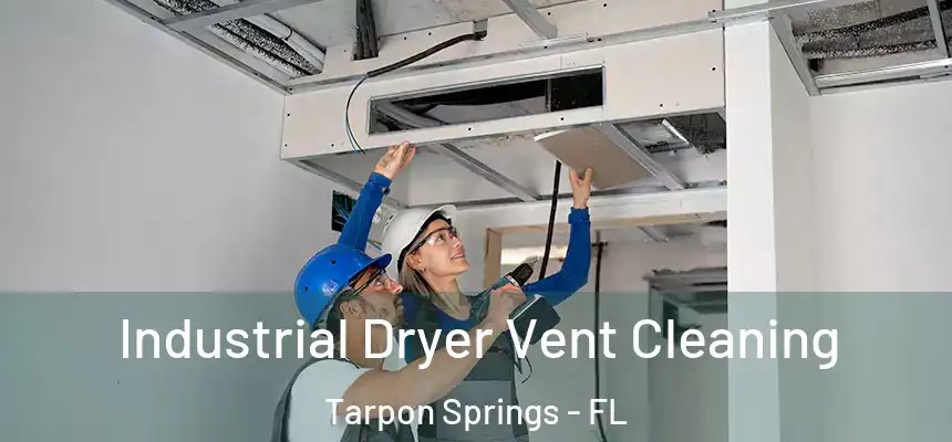Industrial Dryer Vent Cleaning Tarpon Springs - FL