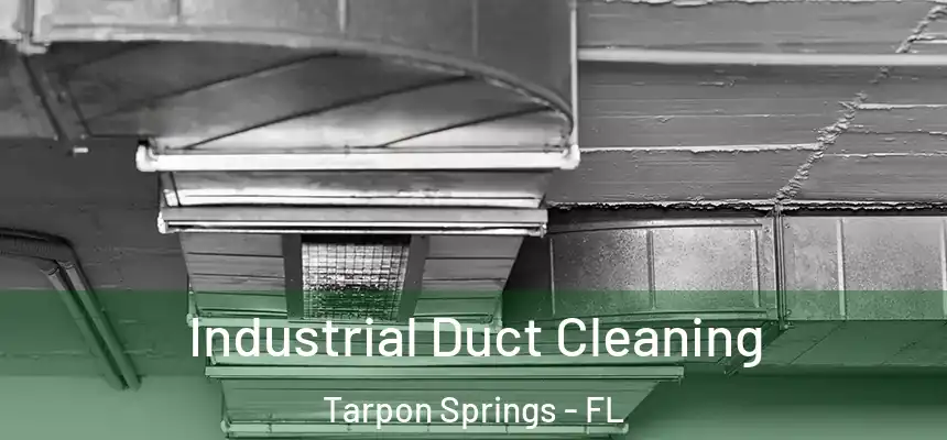 Industrial Duct Cleaning Tarpon Springs - FL