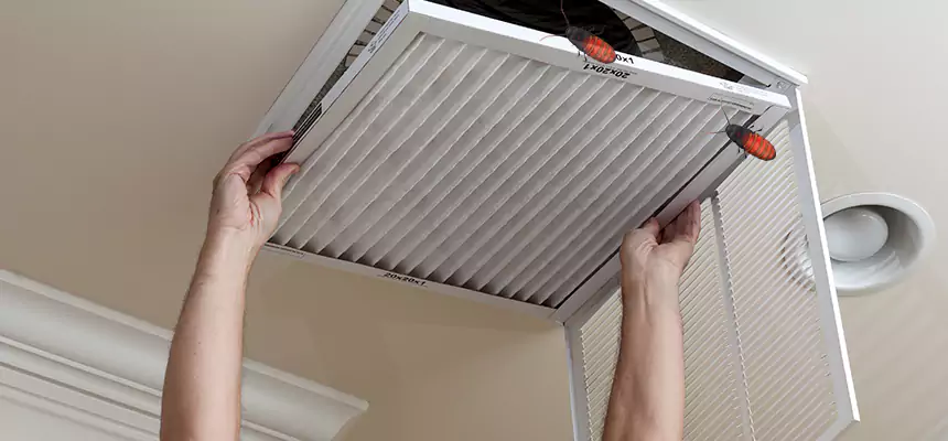 Preventive Cockroach-Proofing for Ducts in Tarpon Springs