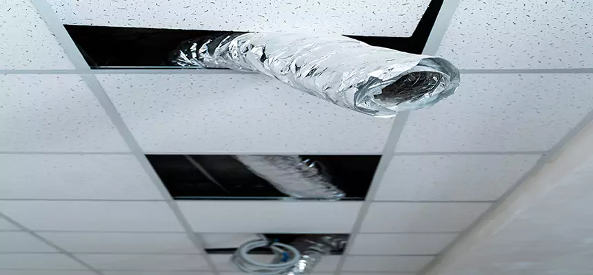 Affordable HVAC Sanitizing After Pest Removal in Tarpon Springs