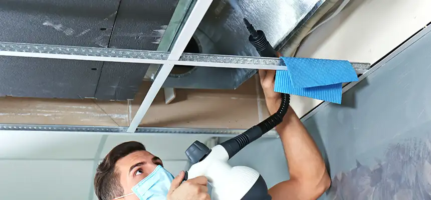Our Air Duct Rodent Removal Services in Tarpon Springs, FL