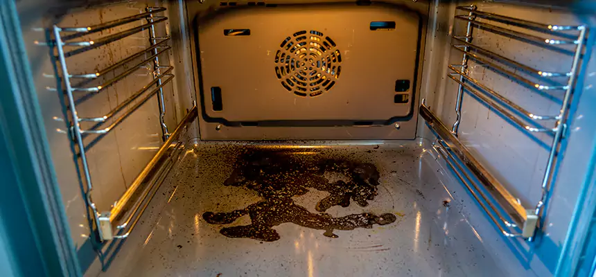 Our Air Purifier Installation Services in Tarpon Springs, FL