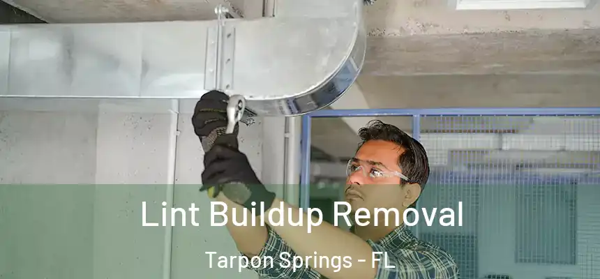 Lint Buildup Removal Tarpon Springs - FL