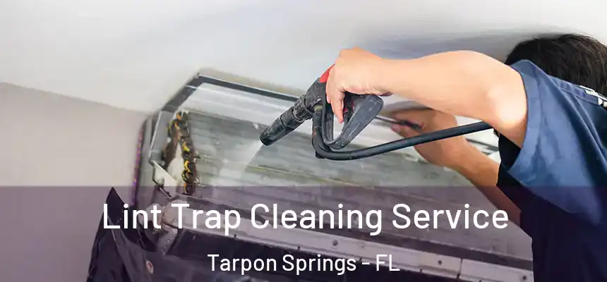 Lint Trap Cleaning Service Tarpon Springs - FL
