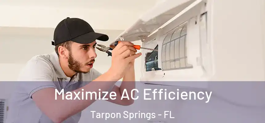 Maximize AC Efficiency Tarpon Springs - FL
