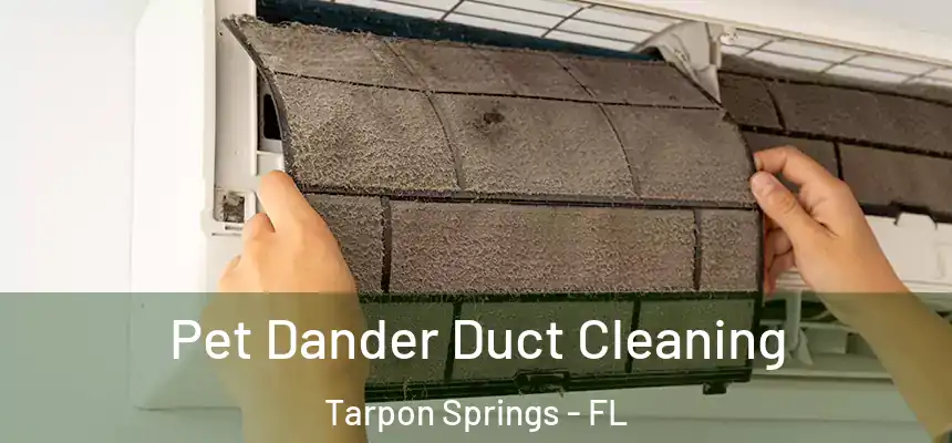 Pet Dander Duct Cleaning Tarpon Springs - FL