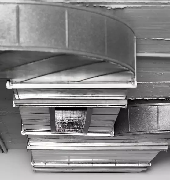 Professional Air Duct Pest Removal in Tarpon Springs, FL