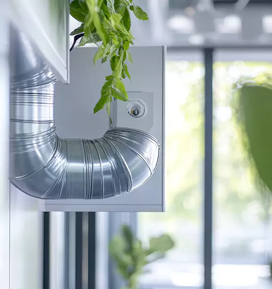 Professional Eco-Friendly Duct Cleaning Services in Tarpon Springs, FL