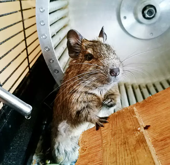 Why Homeowners & Businesses Trust Us Tarpon Springs, FL?