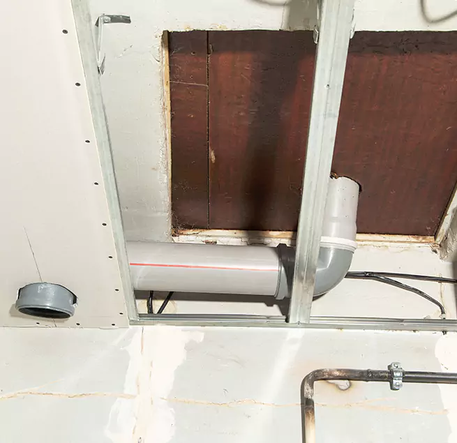 Why Homeowners & Businesses Trust Us in Tarpon Springs, FL?