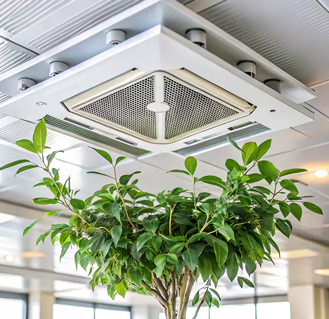 Why Homeowners & Businesses Trust Us in Tarpon Springs, FL