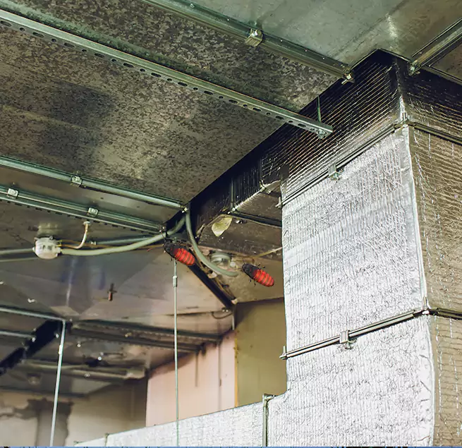 Why Homeowners & Businesses Trust Us Tarpon Springs, FL?