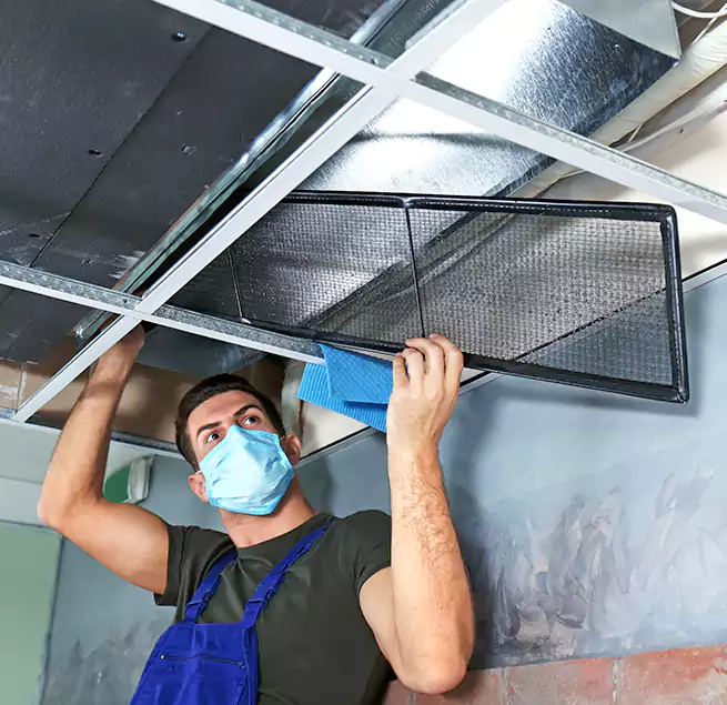 Why Homeowners Businesses Trust Us in Tarpon Springs, FL