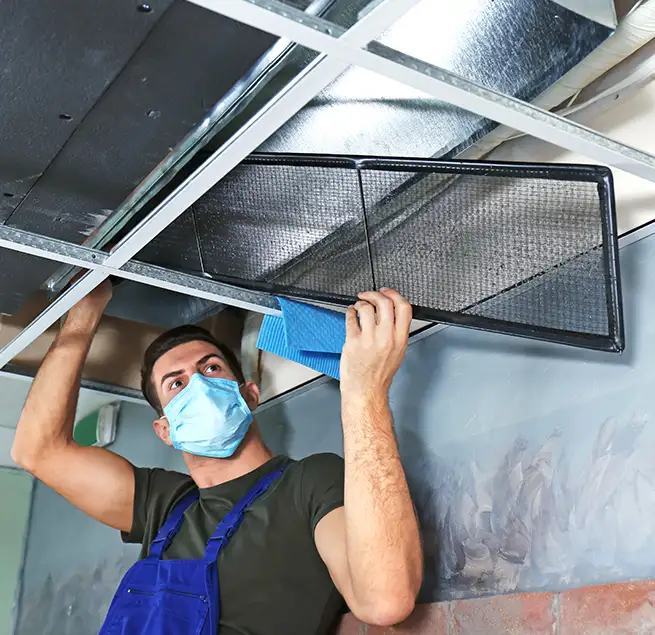 Why Homeowners & Businesses Trust Us in Tarpon Springs, FL?