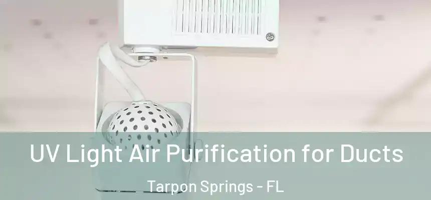  UV Light Air Purification for Ducts Tarpon Springs - FL