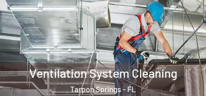 Ventilation System Cleaning Tarpon Springs - FL
